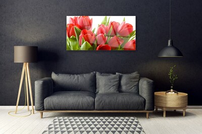 Quadro acrílico Tulipas Flores Planta