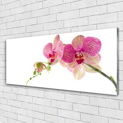 Pintura acrílica Planta de flores