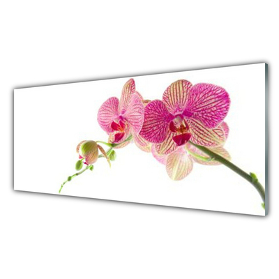 Pintura acrílica Planta de flores