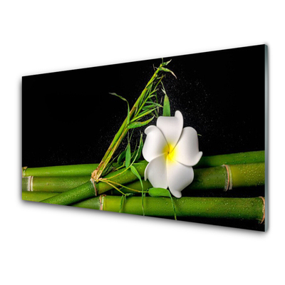 Quadro acrílico Planta de flor de bambu