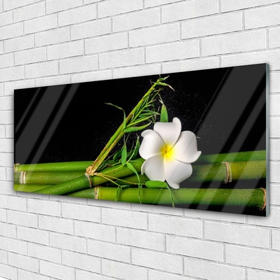 Quadro acrílico Planta de flor de bambu