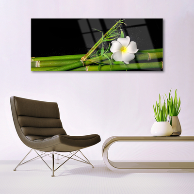 Quadro acrílico Planta de flor de bambu