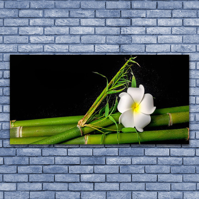 Quadro acrílico Planta de flor de bambu