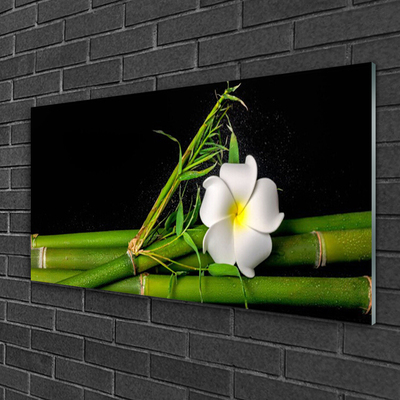 Quadro acrílico Planta de flor de bambu