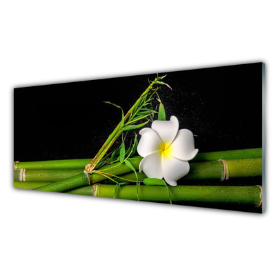 Quadro acrílico Planta de flor de bambu