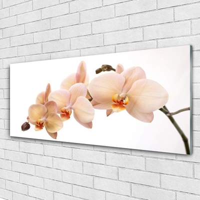 Quadro acrílico Planta de flores