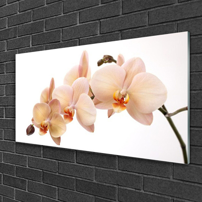 Quadro acrílico Planta de flores