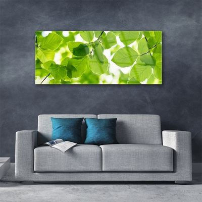 Quadro acrílico Folhas Natureza Planta