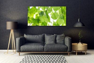 Quadro acrílico Folhas Natureza Planta