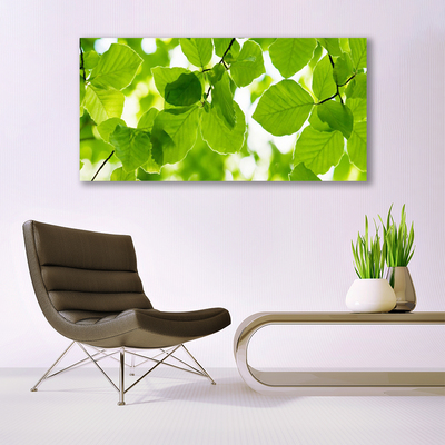 Quadro acrílico Folhas Natureza Planta