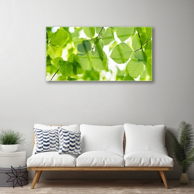 Quadro acrílico Folhas Natureza Planta
