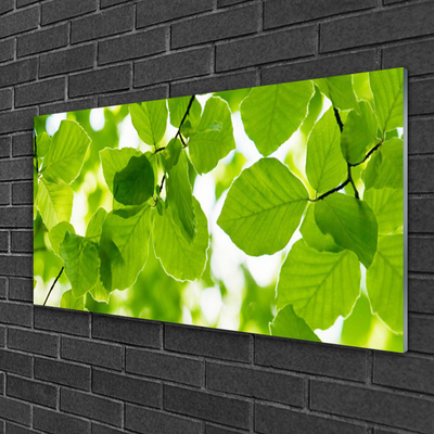 Quadro acrílico Folhas Natureza Planta