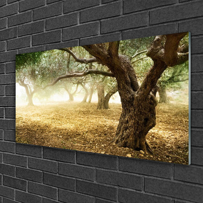 Quadro acrílico Árvore Grama Natureza