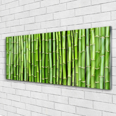 Quadro acrílico Planta de flor de bambu