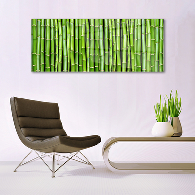 Quadro acrílico Planta de flor de bambu