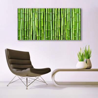 Quadro acrílico Planta de flor de bambu