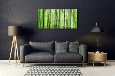 Quadro acrílico Planta de flor de bambu