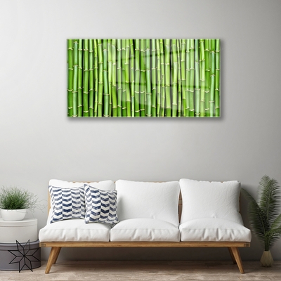Quadro acrílico Planta de flor de bambu