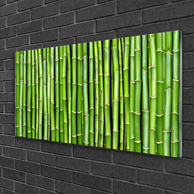 Quadro acrílico Planta de flor de bambu