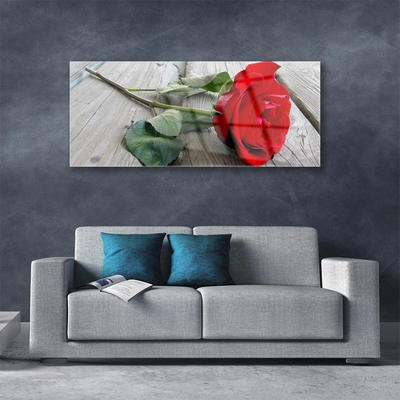 Quadro acrílico Flores de rosas