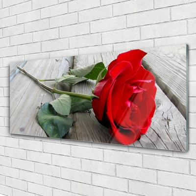 Quadro acrílico Flores de rosas