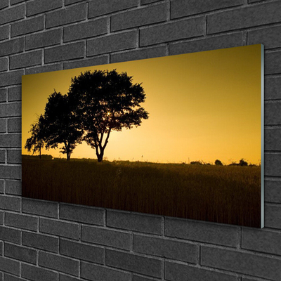 Quadro acrílico Árvores Natureza Planta