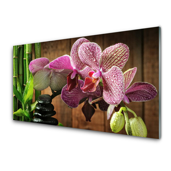Quadro acrílico Flores Planta de Bambu