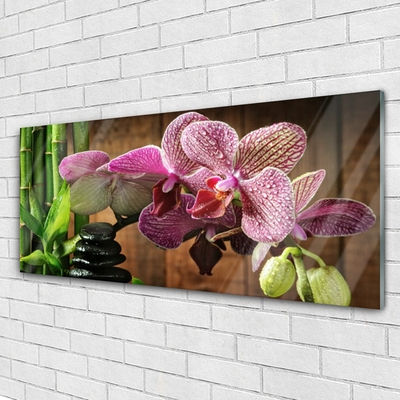 Quadro acrílico Flores Planta de Bambu