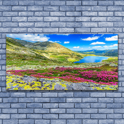 Quadro acrílico Natureza do prado da baía da montanha