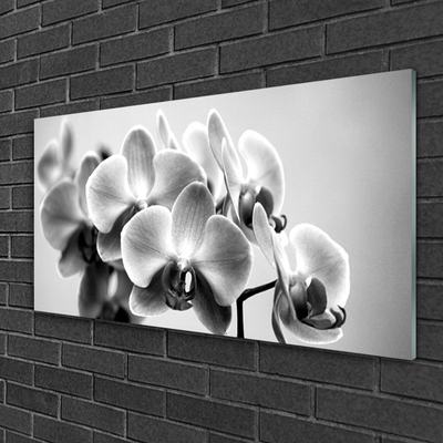 Quadro acrílico Flores Planta Natureza