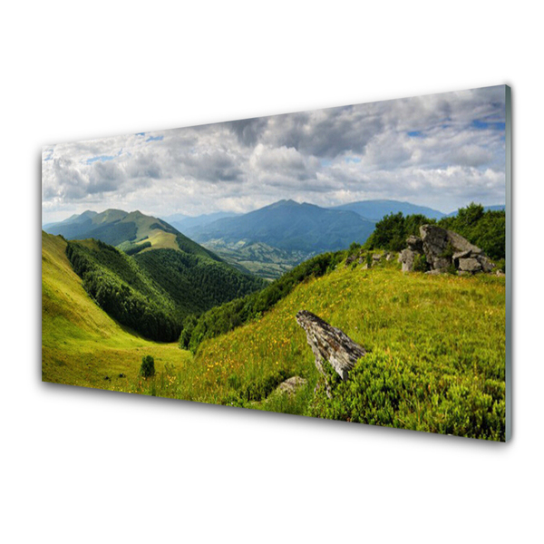Quadro acrílico Paisagem de prados de montanha
