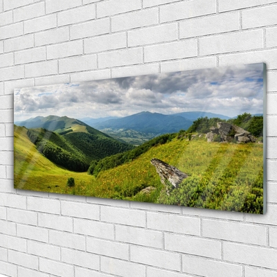 Quadro acrílico Paisagem de prados de montanha