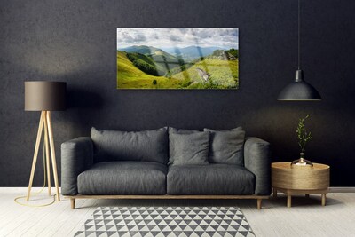 Quadro acrílico Paisagem de prados de montanha