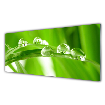 Pintura acrílica Folhas Natureza Planta