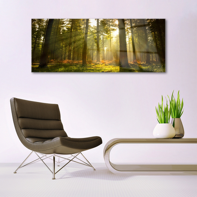 Quadro acrílico Floresta Natureza Árvores
