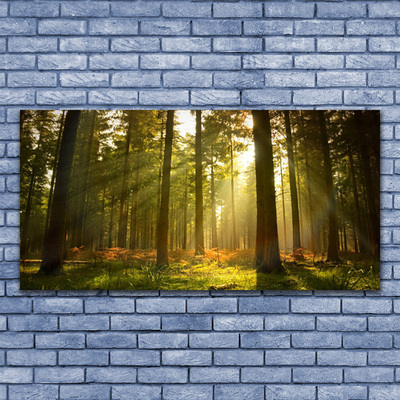 Quadro acrílico Floresta Natureza Árvores