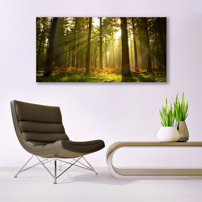 Quadro acrílico Floresta Natureza Árvores