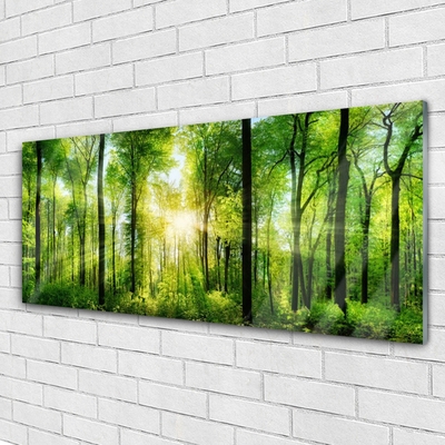 Quadro acrílico Floresta Natureza Árvores
