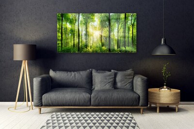 Quadro acrílico Floresta Natureza Árvores