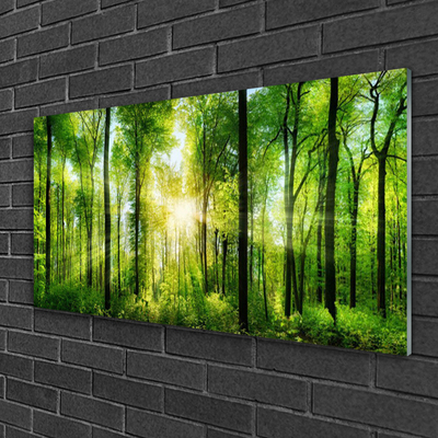 Quadro acrílico Floresta Natureza Árvores