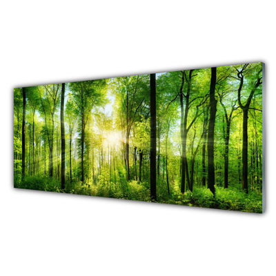Quadro acrílico Floresta Natureza Árvores