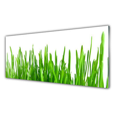 Pintura acrílica Natureza da planta grama