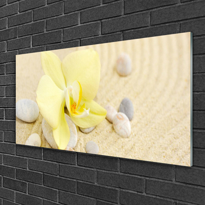 Quadro acrílico Flores Planta Natureza