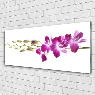 Pintura acrílica Flores Planta Natureza