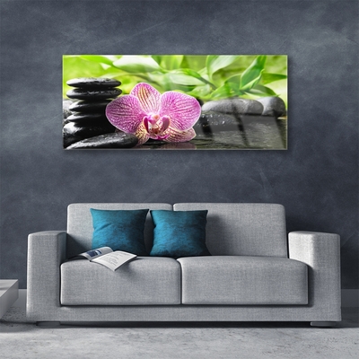 Quadro acrílico Planta de pedras de flores