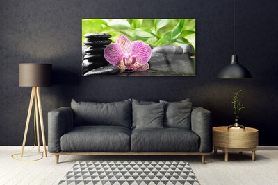 Quadro acrílico Planta de pedras de flores