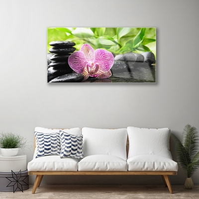 Quadro acrílico Planta de pedras de flores