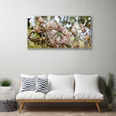 Quadro acrílico Pássaros Animais