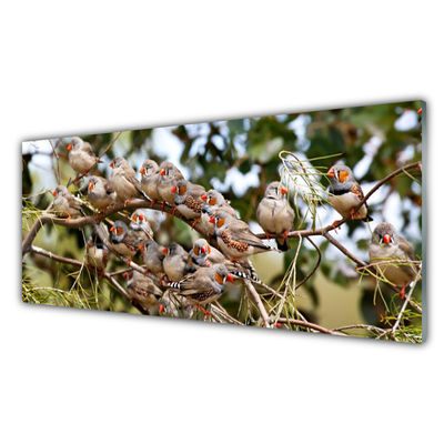 Quadro acrílico Pássaros Animais