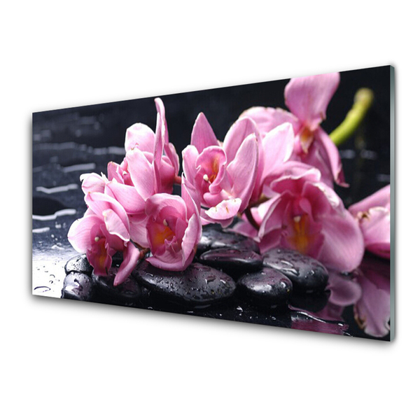 Quadro acrílico Planta de orquídea flor